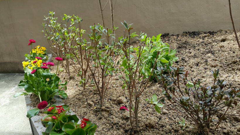 361d19f592056186ca7911e384dbcea8_1460534