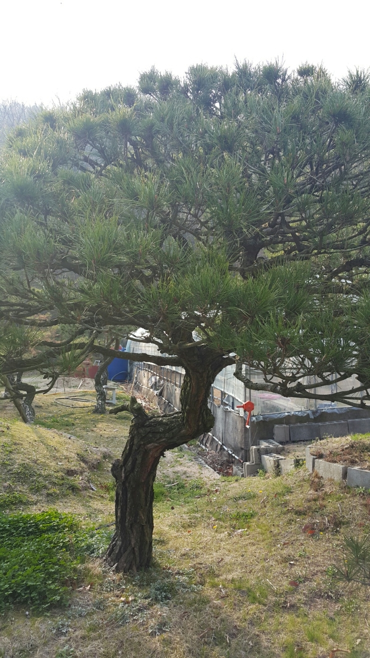 732dbd0fc4a1ffb3ad1f75cb1e114df6_1459519