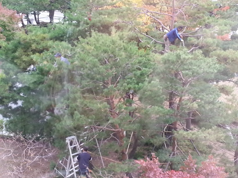 9f4005831653b78e2e64947a251fbc6f_1460726