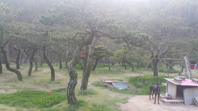 c6ad0a8271f0f93b31f809c1d6cf508c_1460899