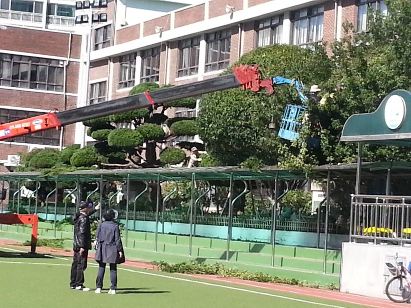 d27fc373c005a879871038953cb34df9_1459571