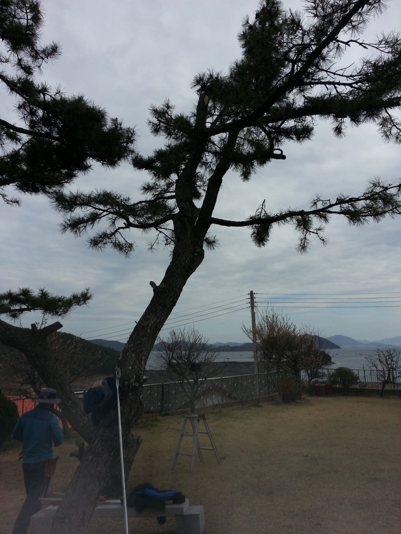 d92fe894a64178c085ed529910f1c918_1461762