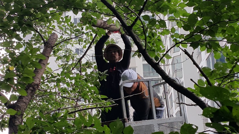 ab86b5857c174d95a8676b7e1f70cc98_1471235