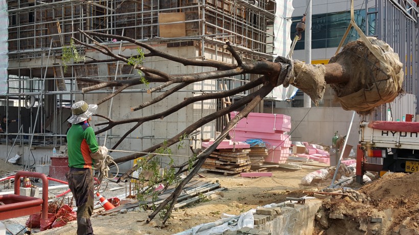 ab86b5857c174d95a8676b7e1f70cc98_1471236