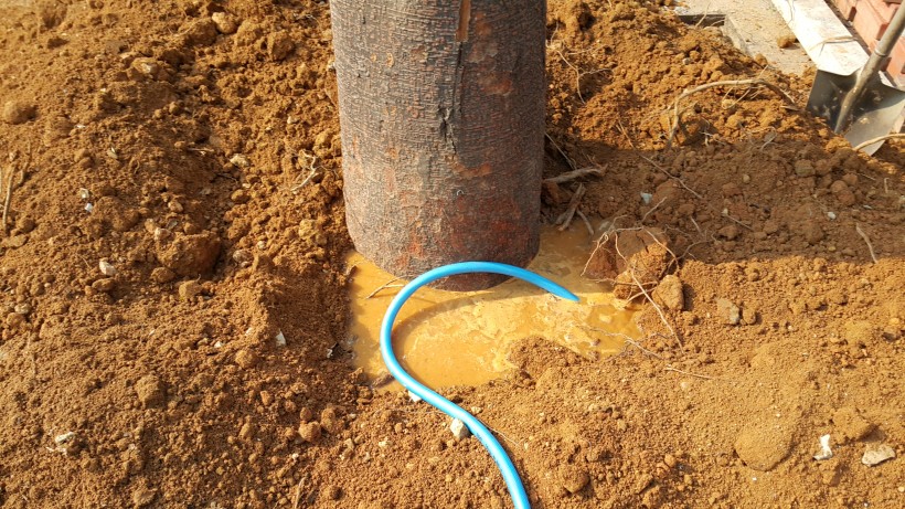 ab86b5857c174d95a8676b7e1f70cc98_1471236