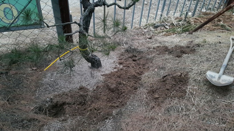 294b811dc3705fab0f92963bc1c33e0a_1521694