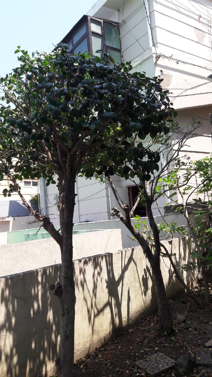 2780e70c6359af3ee19126565ebfa54f_1527426