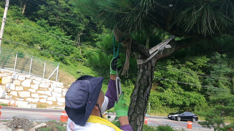 ed50774d488a93e43dafd79b81657d0f_1534057