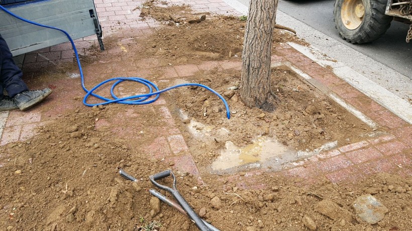 d0919aac5ed6cf7710b27d264ba1f05e_1547959