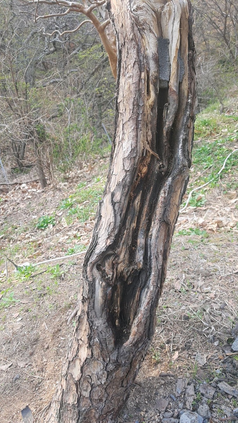 cdf37471e9fff43bb0f2e28beeb3f55b_1554813