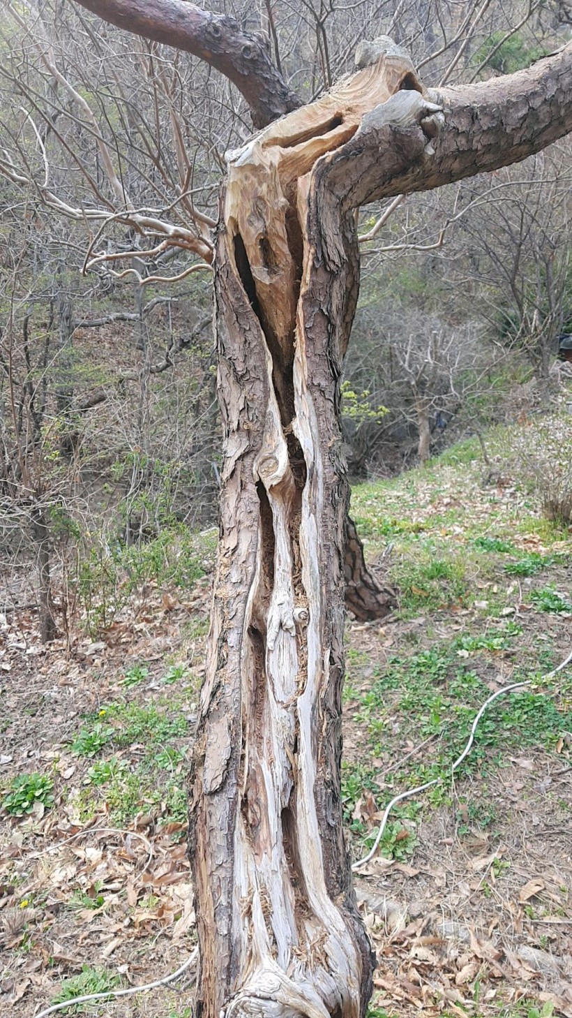 cdf37471e9fff43bb0f2e28beeb3f55b_1554813