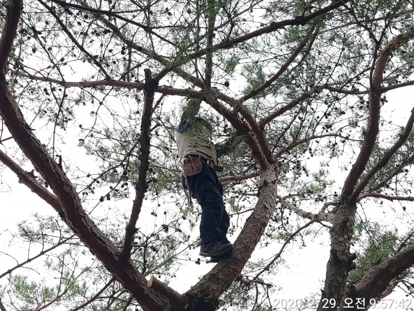 8937bfa8df75fb5cbf14705c1b18d41f_1584249