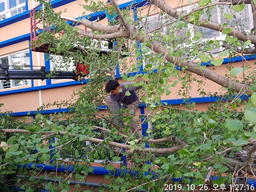 948e21c6b16b1330510e11a55703f24e_1584257