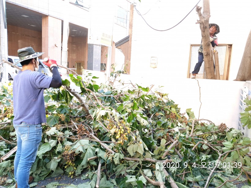 47a5043ffa9b2d75844e95ee5200029b_1599747