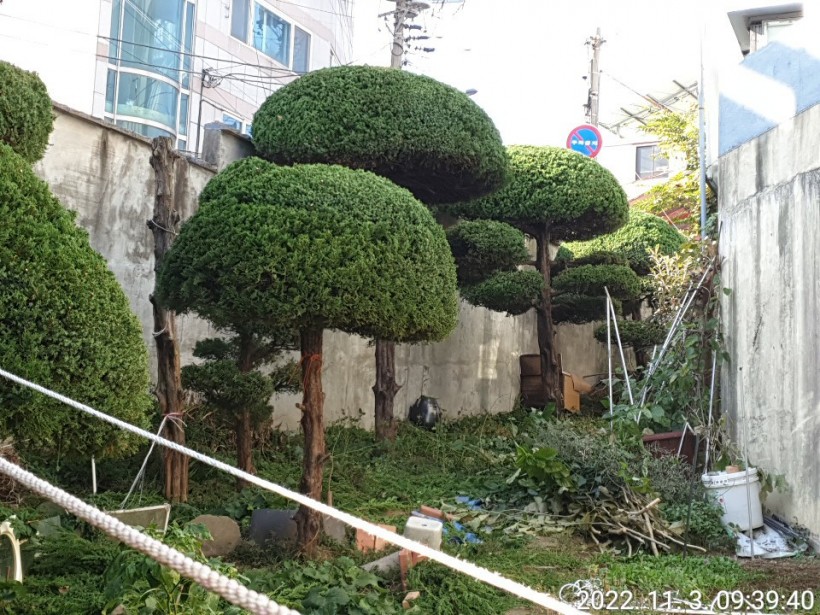 58066bebd9fa142972adba8d6d188dbf_1669534